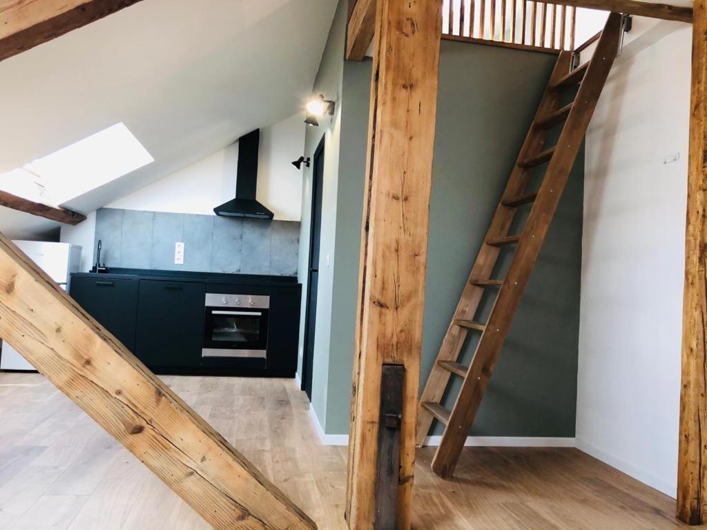 Les Appartements De Romain Et Julien Dijon Bagian luar foto