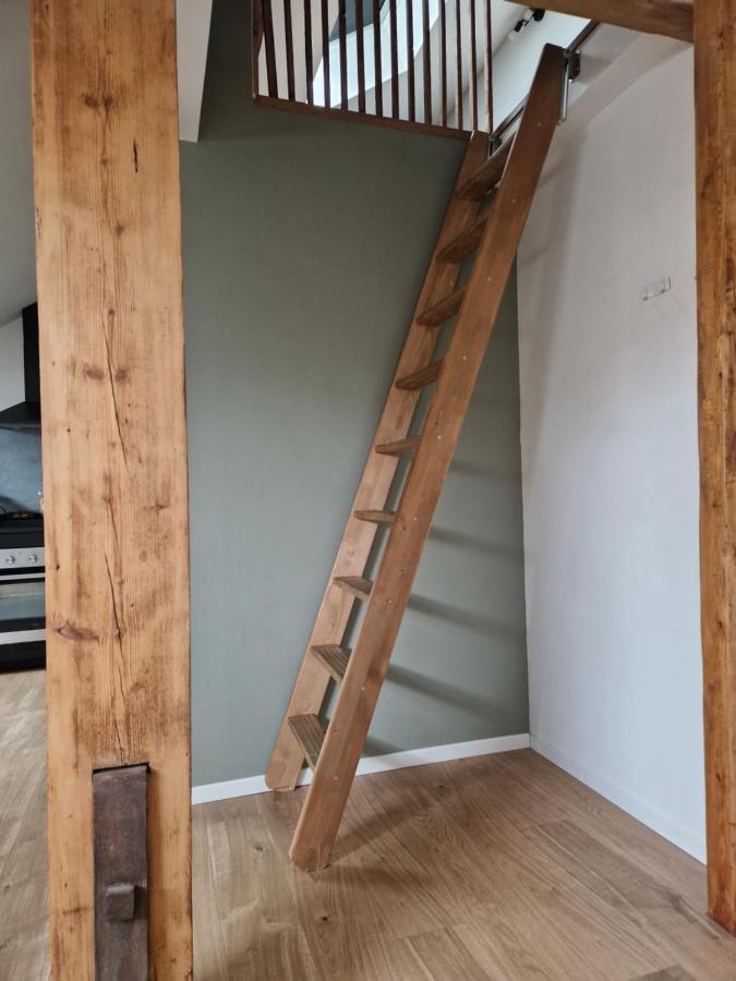 Les Appartements De Romain Et Julien Dijon Bagian luar foto