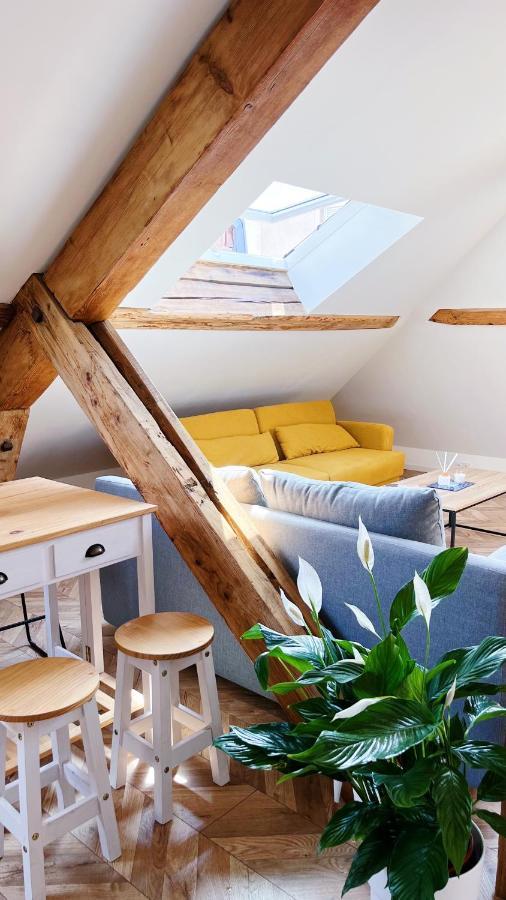 Les Appartements De Romain Et Julien Dijon Bagian luar foto