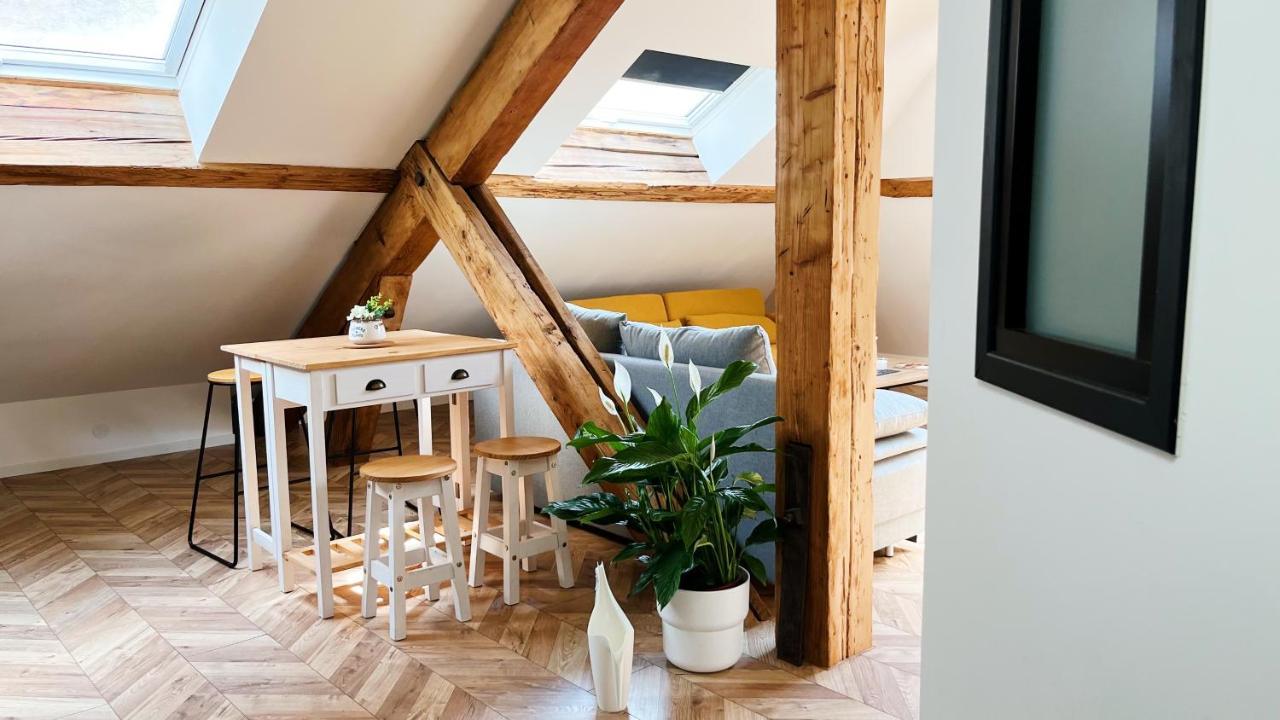 Les Appartements De Romain Et Julien Dijon Bagian luar foto