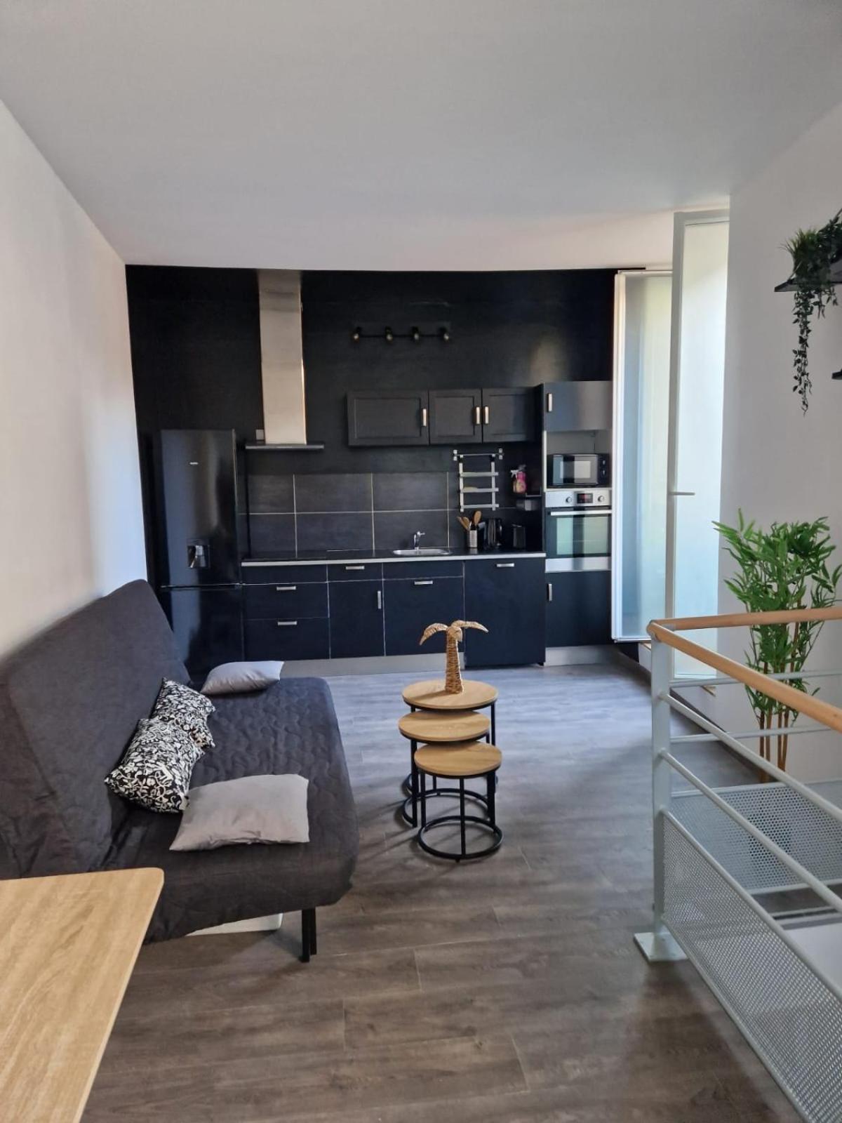 Les Appartements De Romain Et Julien Dijon Bagian luar foto