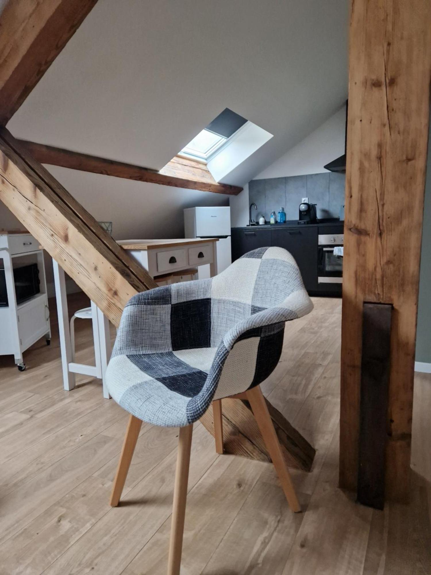Les Appartements De Romain Et Julien Dijon Bagian luar foto