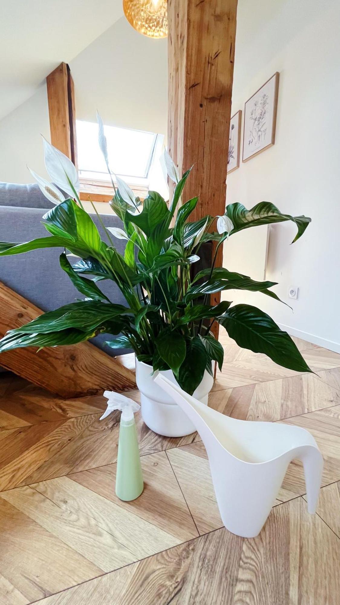 Les Appartements De Romain Et Julien Dijon Bagian luar foto
