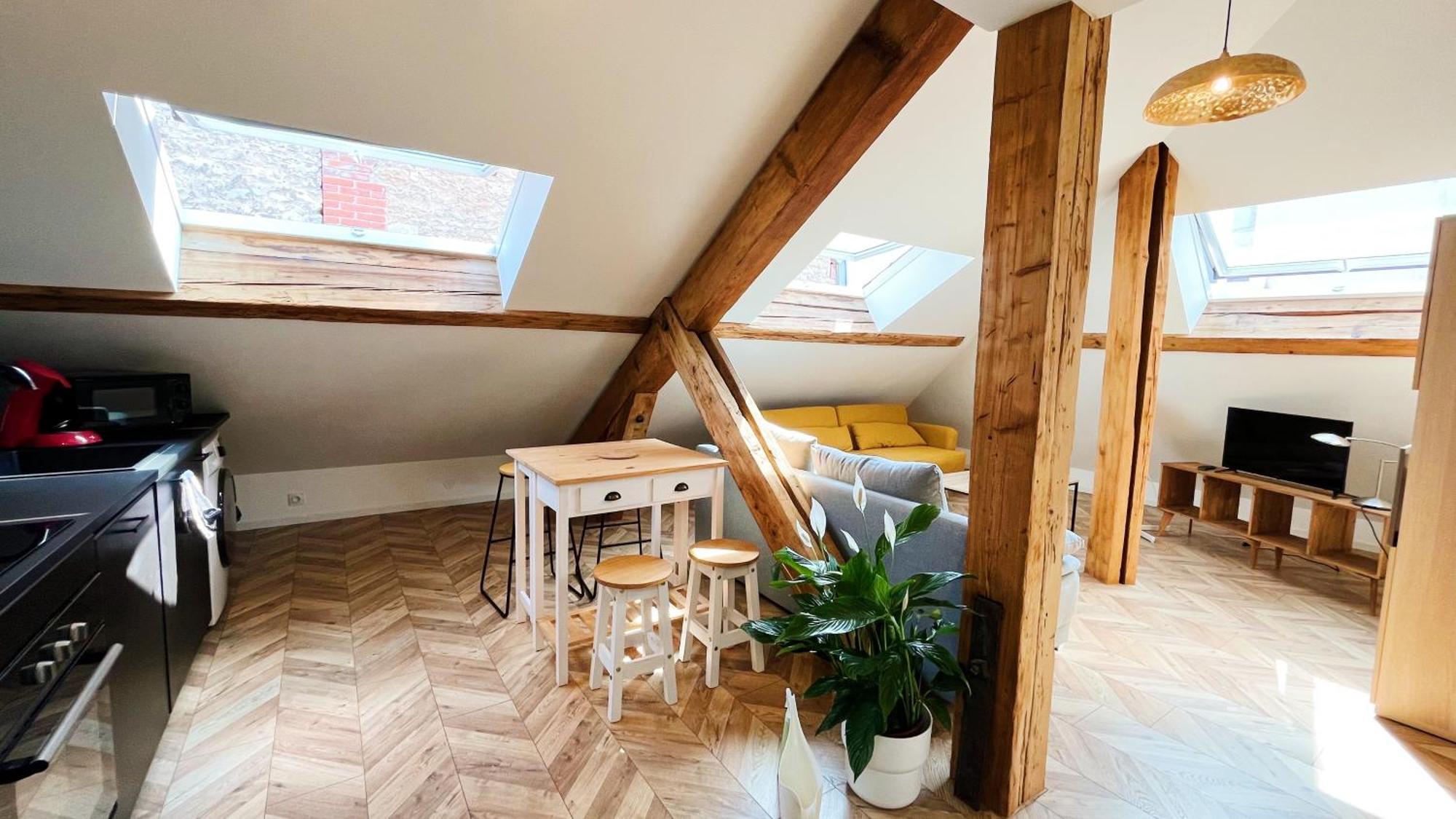 Les Appartements De Romain Et Julien Dijon Bagian luar foto
