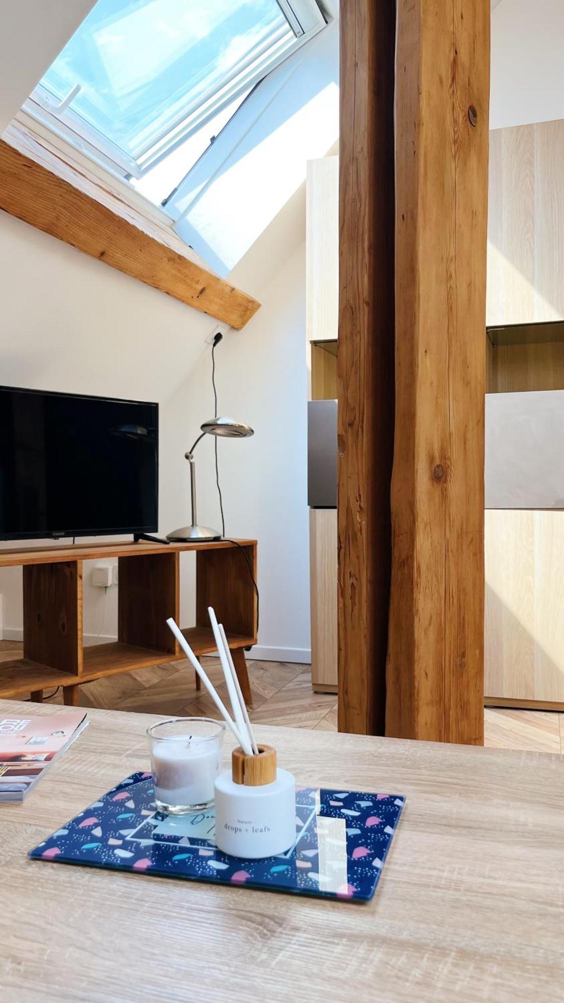 Les Appartements De Romain Et Julien Dijon Bagian luar foto