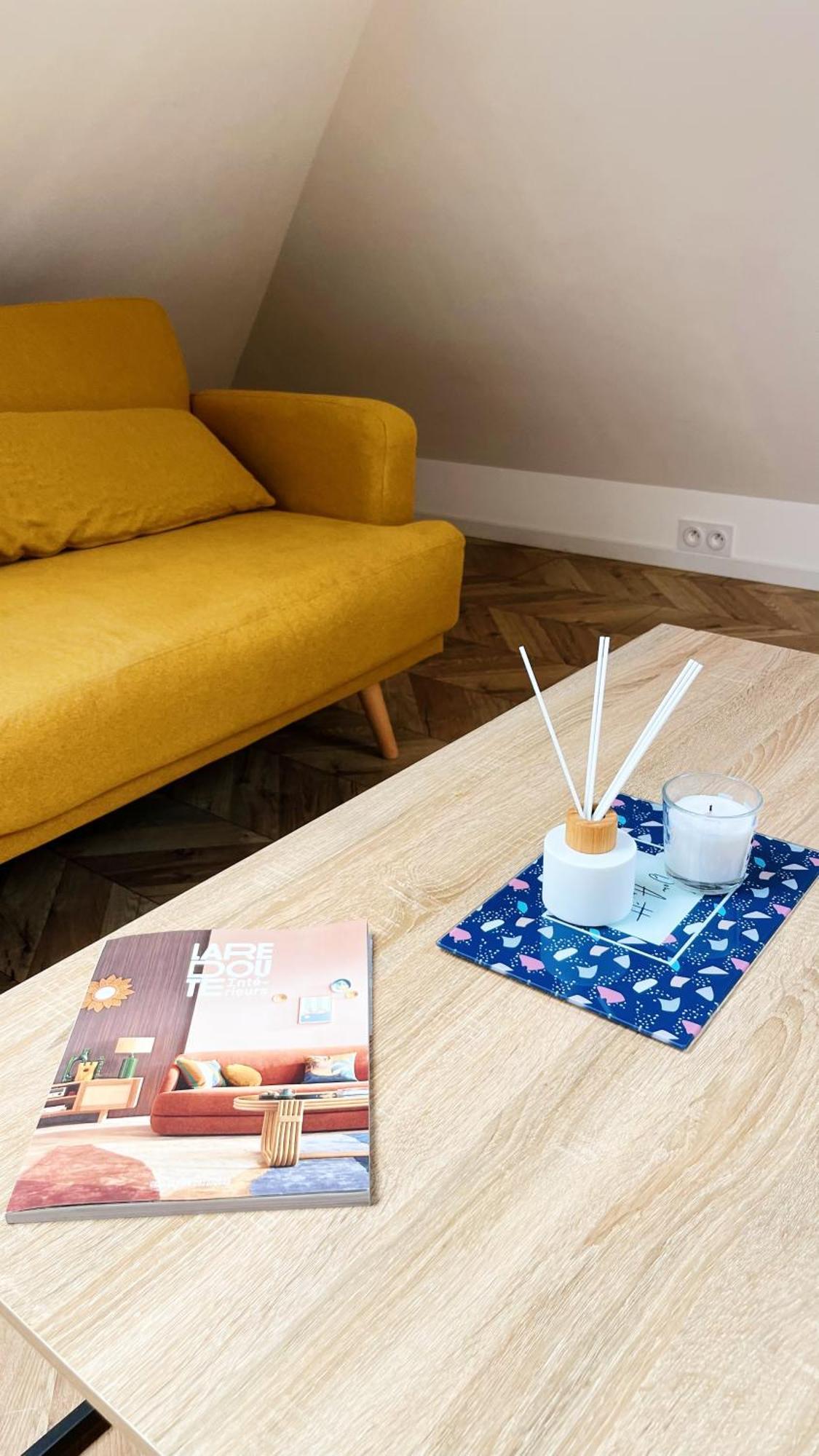Les Appartements De Romain Et Julien Dijon Bagian luar foto