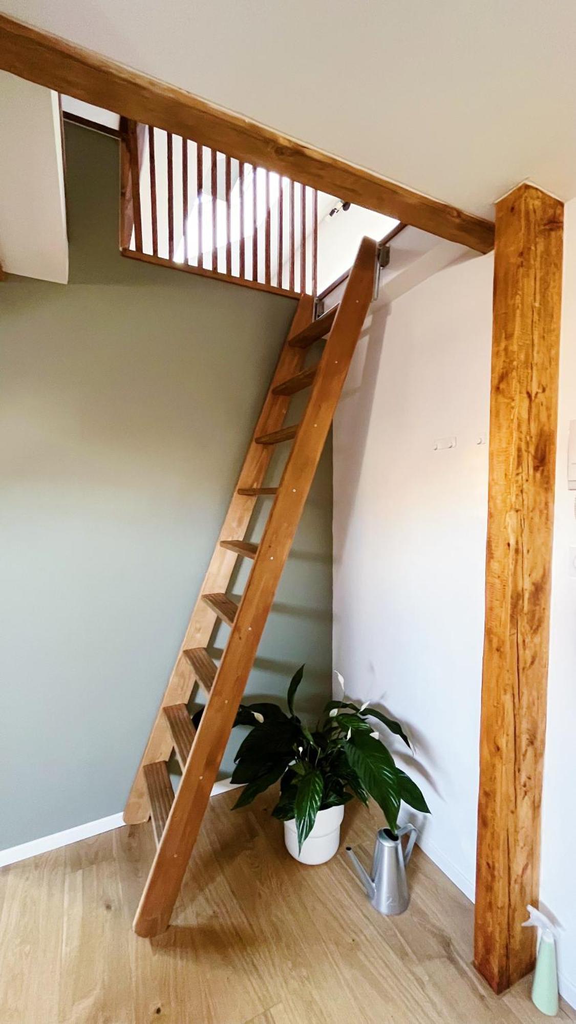 Les Appartements De Romain Et Julien Dijon Bagian luar foto