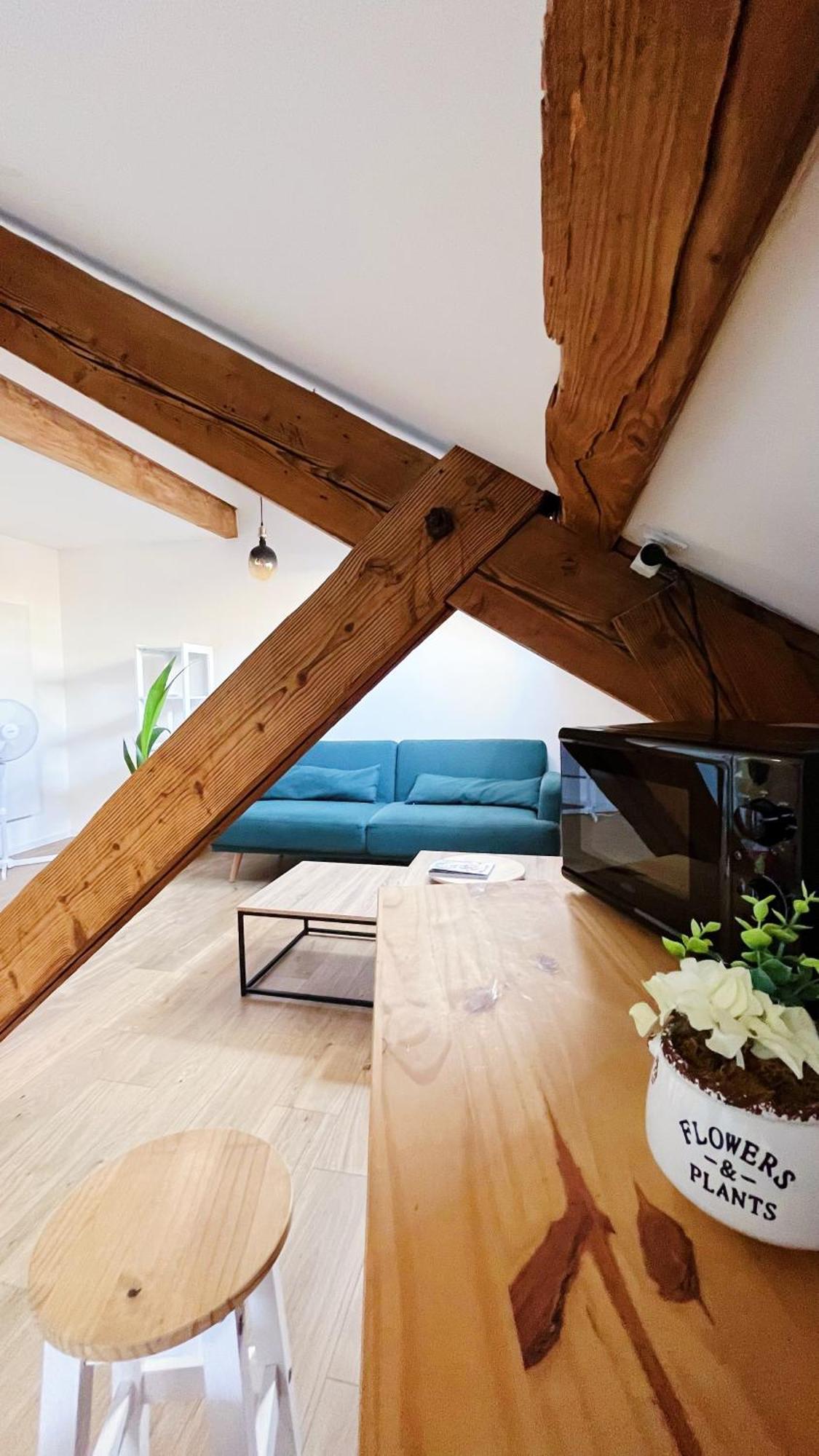 Les Appartements De Romain Et Julien Dijon Bagian luar foto