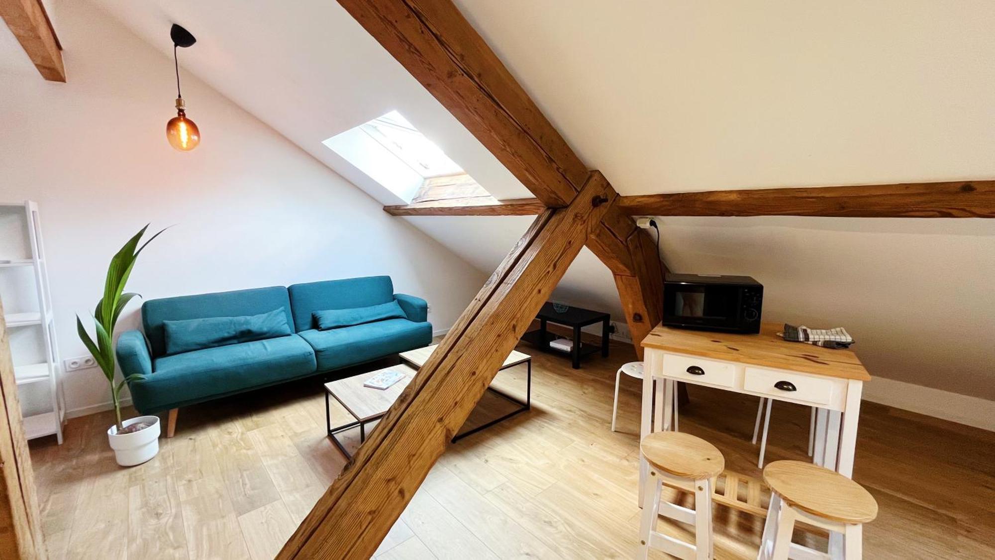 Les Appartements De Romain Et Julien Dijon Bagian luar foto