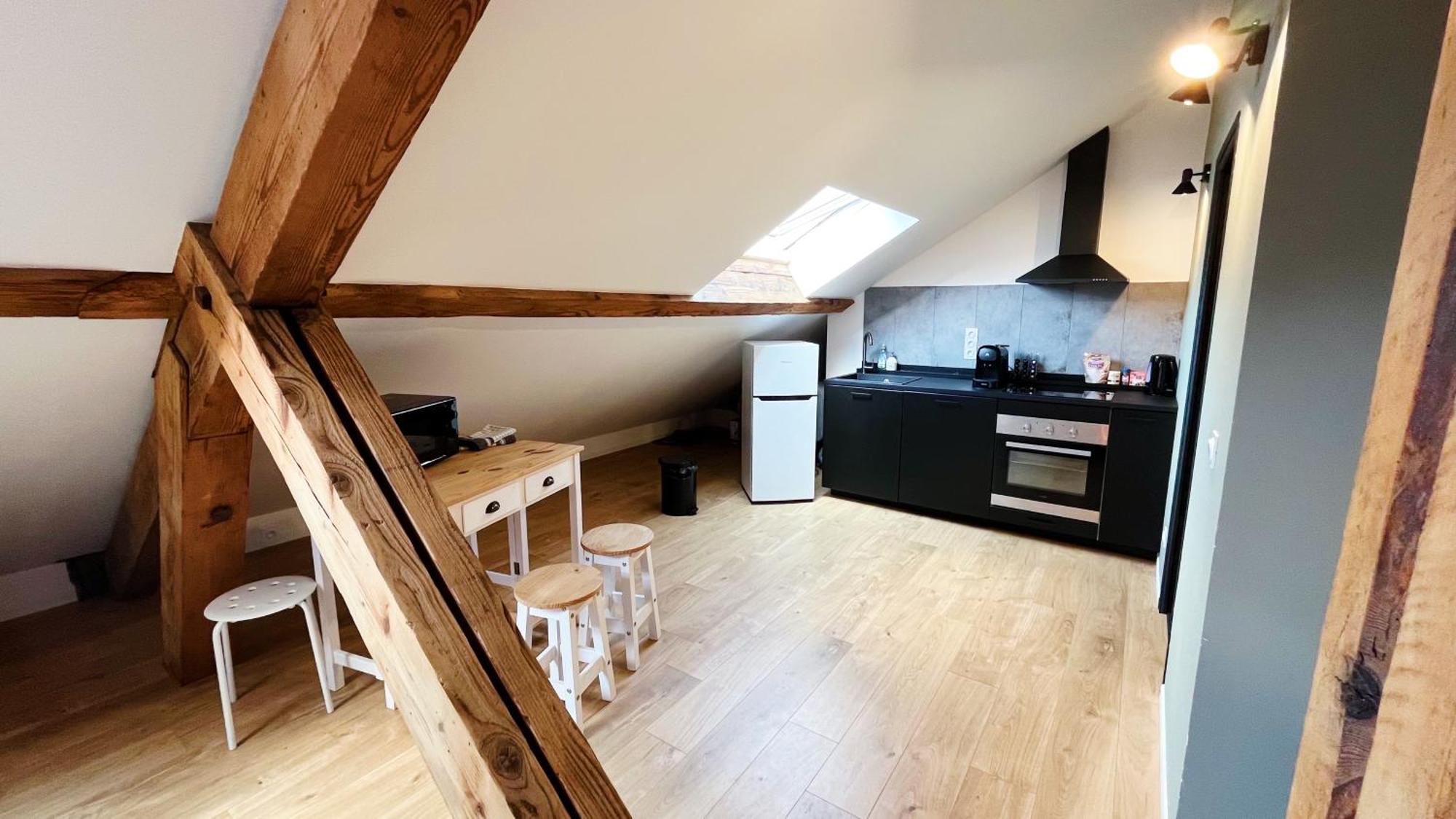 Les Appartements De Romain Et Julien Dijon Bagian luar foto