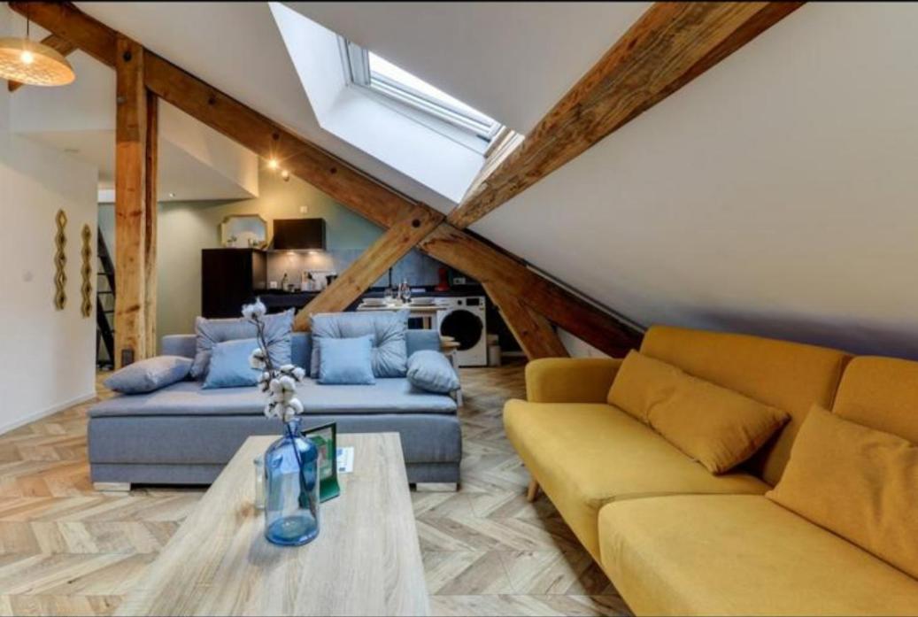 Les Appartements De Romain Et Julien Dijon Bagian luar foto